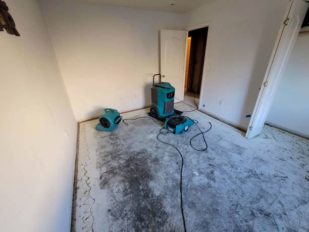 Best Water damage restoration near me  in East Jordan, MI