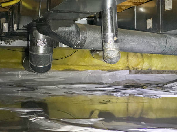 Best Flood damage cleanup  in East Jordan, MI
