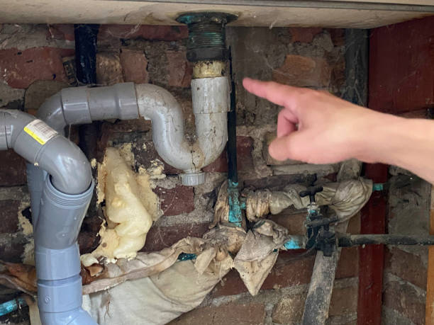 Best Flooded house restoration  in East Jordan, MI